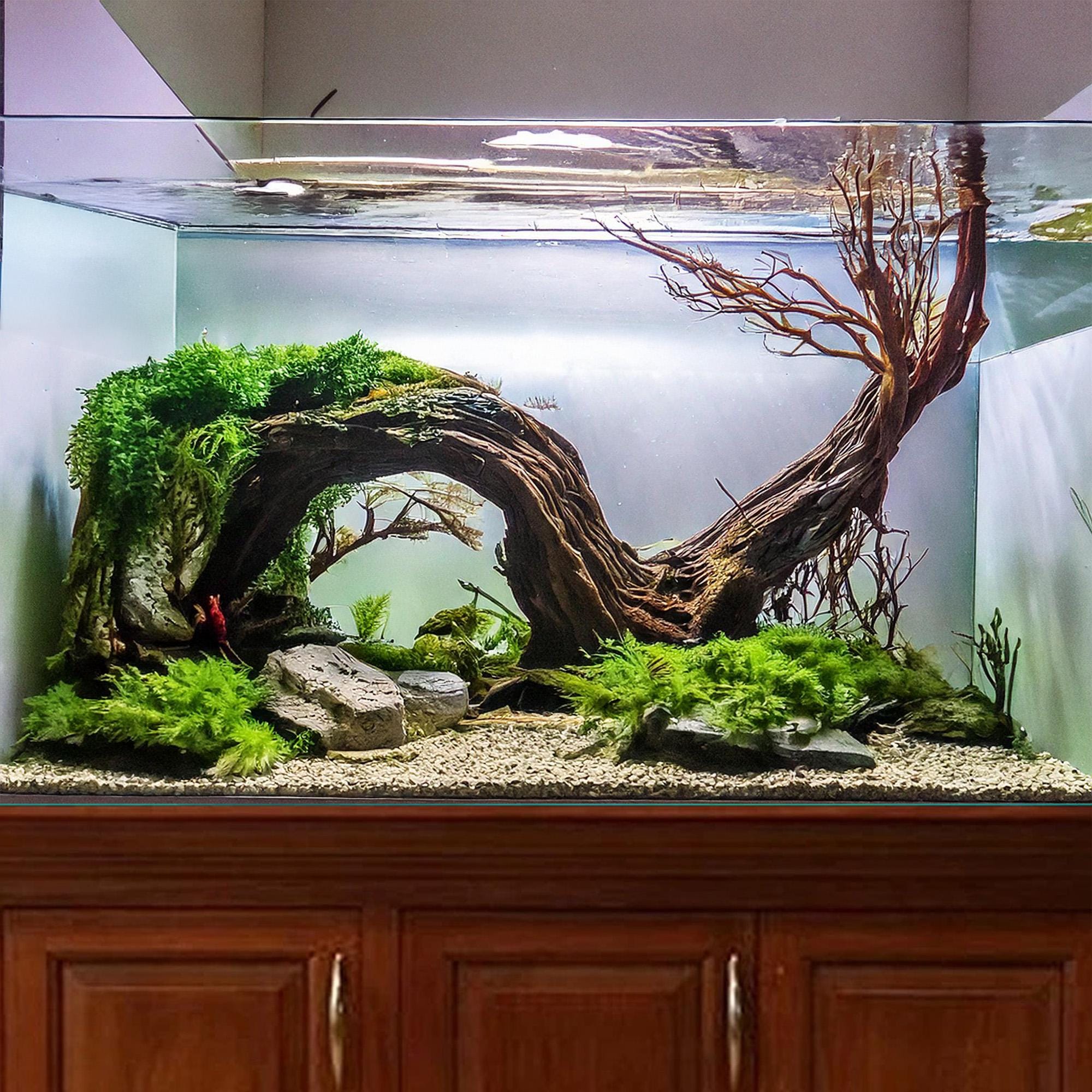 アクアシステム　クリスティプレーン90s　流木レイアウトセット　おまけ付き アクアシステム クリスティプレーン90s 流木レイアウトセット