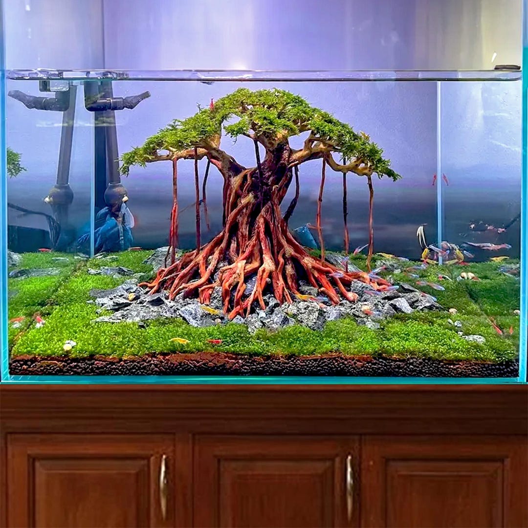 水槽用　盆栽流木 楽天市場】【ス送付無料・お買い得】吹き流し盆栽流木（水槽専用