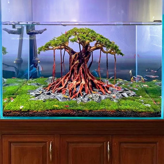 流木水槽盆栽木植物木製アクアスケープアクアスケープ盆栽流木