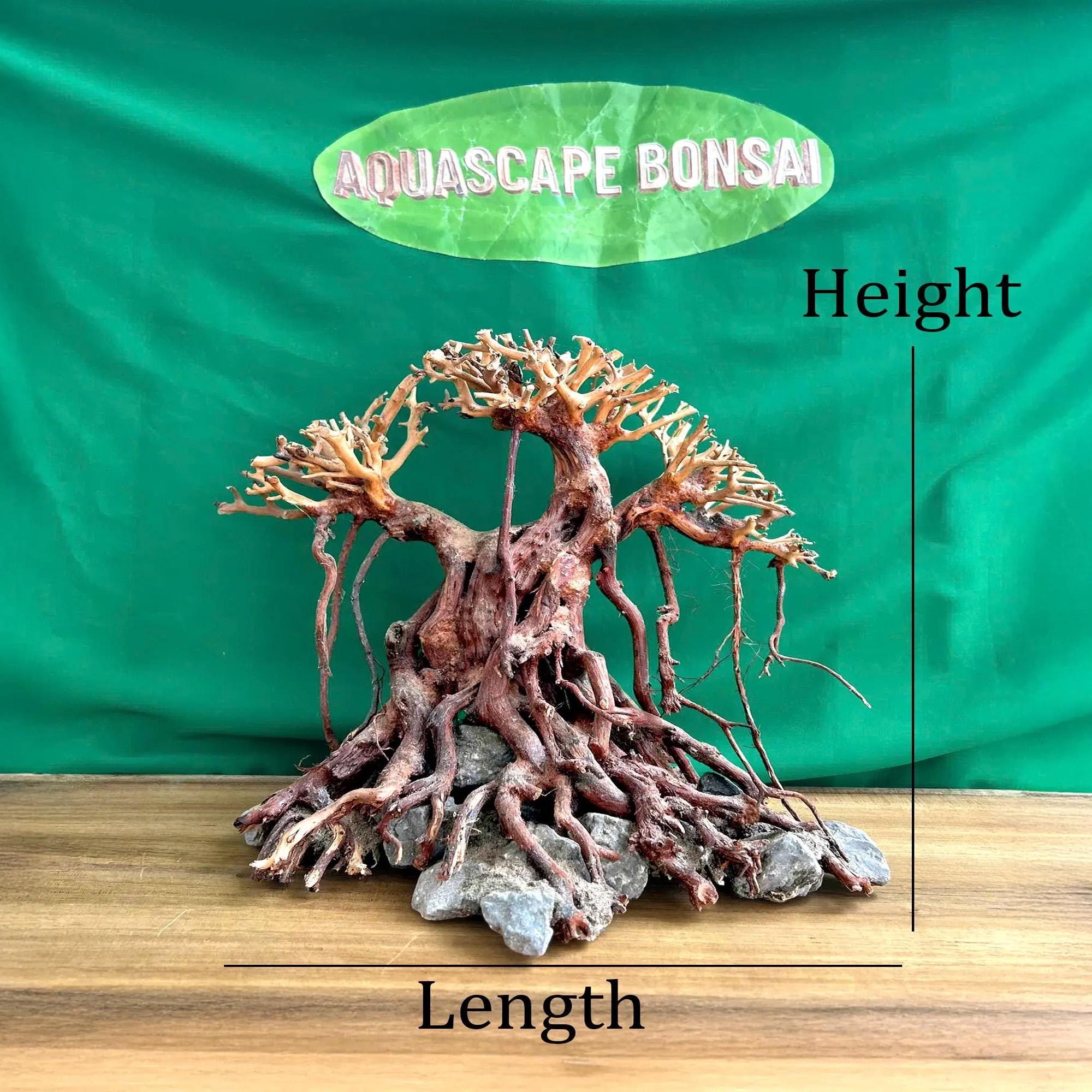 流木水槽盆栽木植物木製アクアスケープアクアスケープ盆栽流木水槽装飾