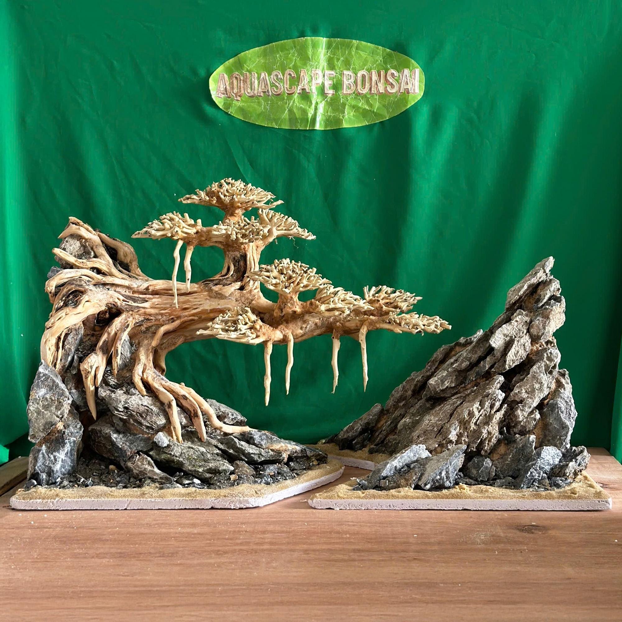 流木盆栽水槽水景樹木植物盆栽木風景水槽装飾 - Etsy 日本