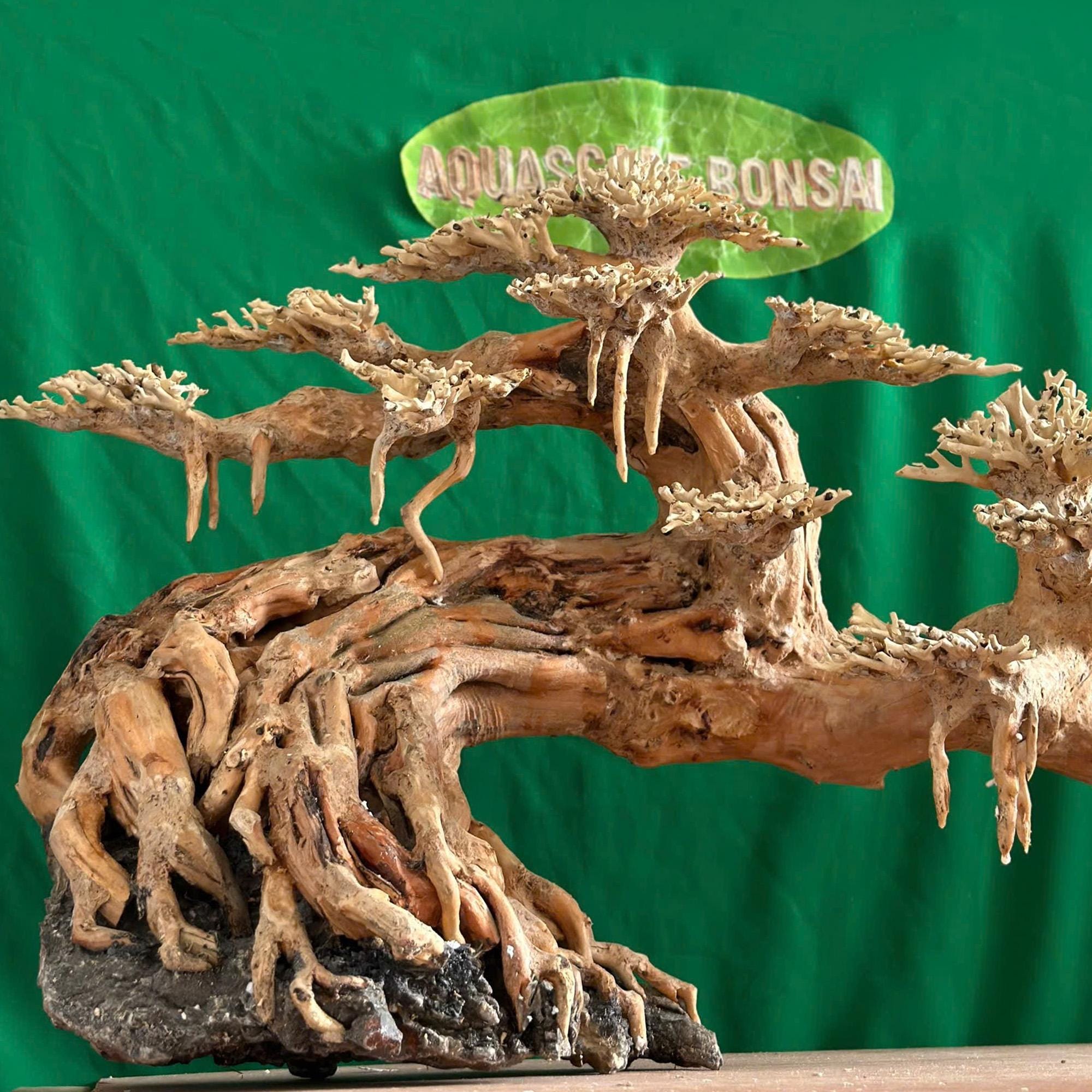 盆栽 水槽 流木 岩 ベース アクアスケープ 水槽 装飾 流木 天然 - Etsy