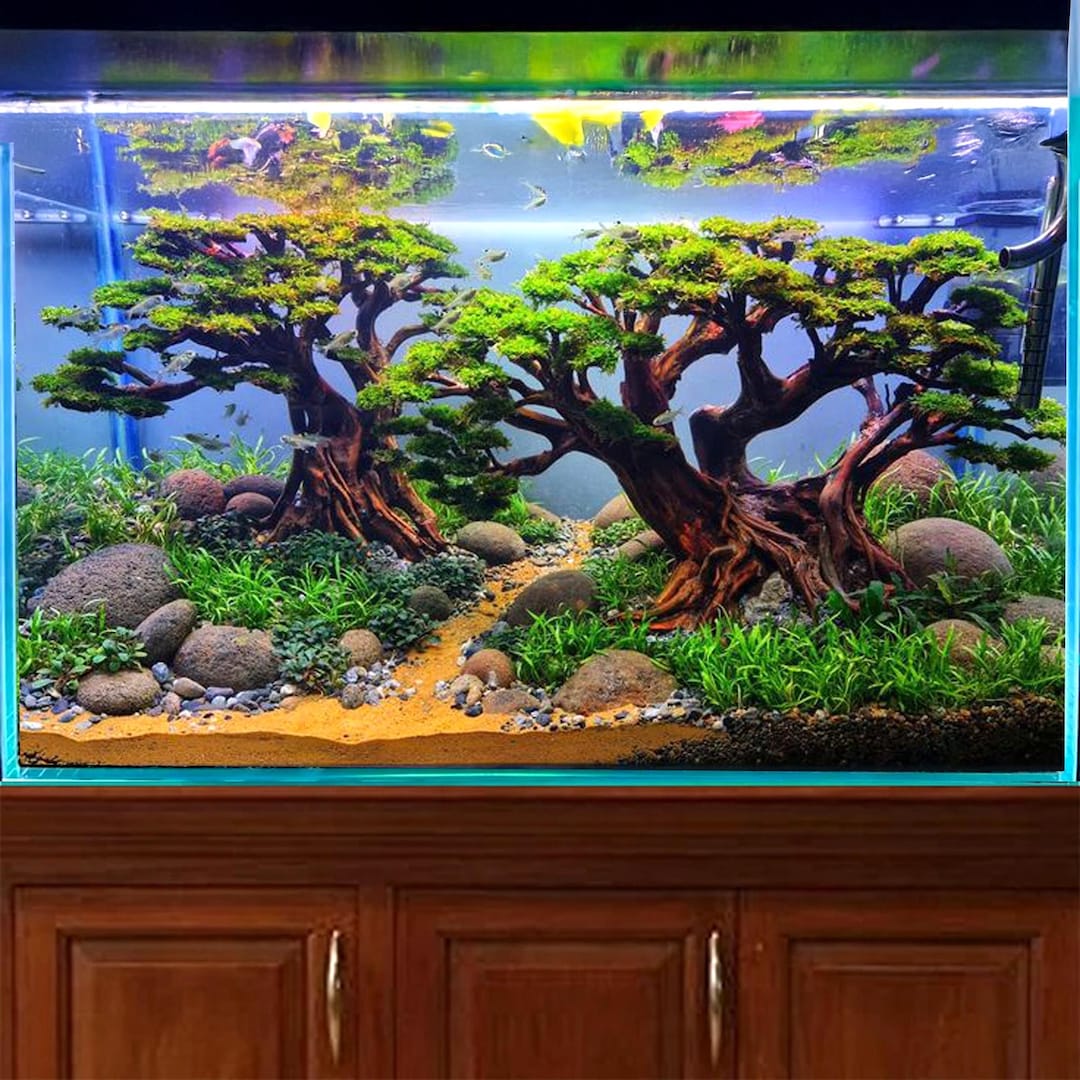 アクアテラリウム 水槽流木。水生植 物　水槽用流木　アクアリウム 盆栽流木 アクアスケープ盆栽流木水槽樹木植物アクアスケープセンター