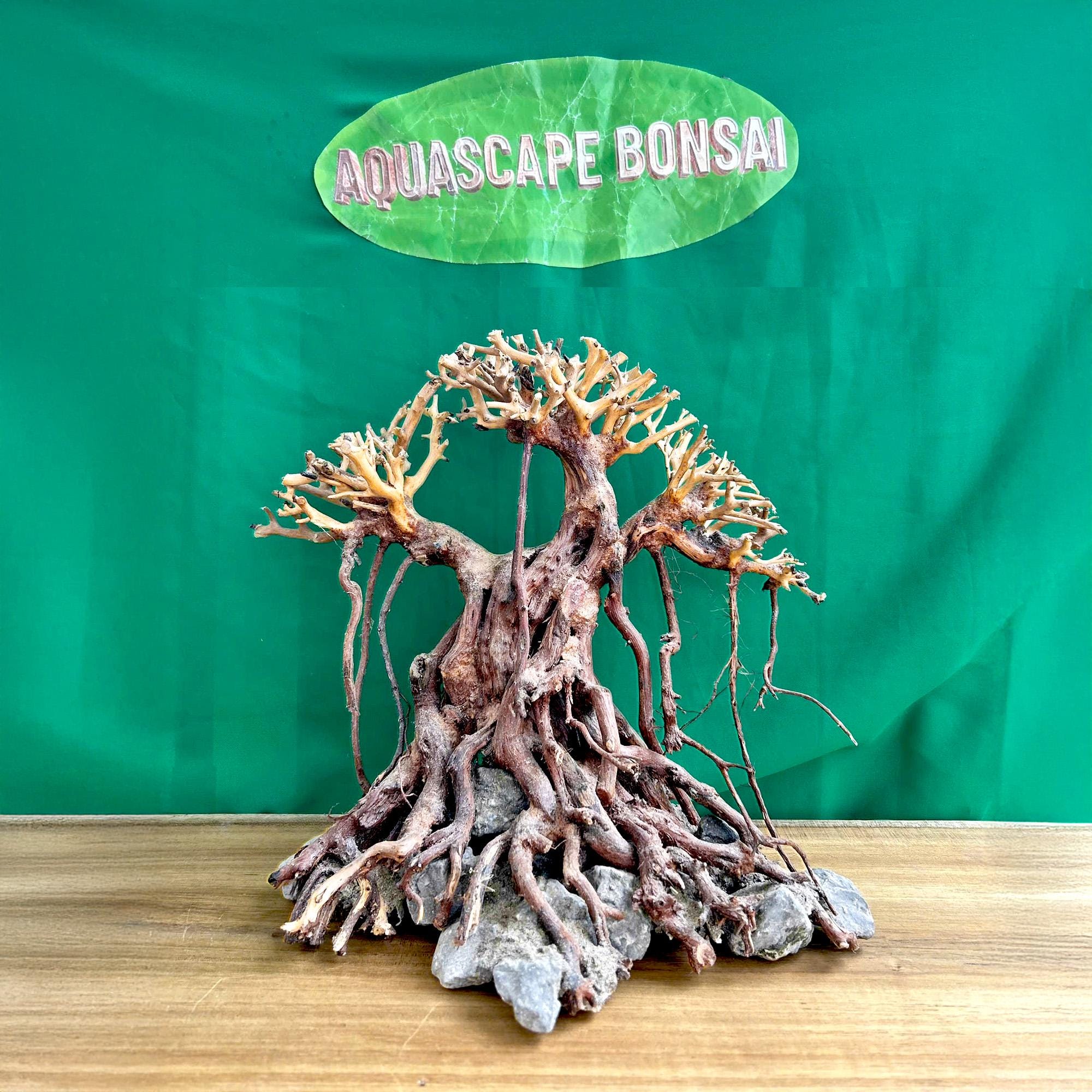 流木水槽盆栽木植物木製アクアスケープアクアスケープ盆栽流木水槽装飾