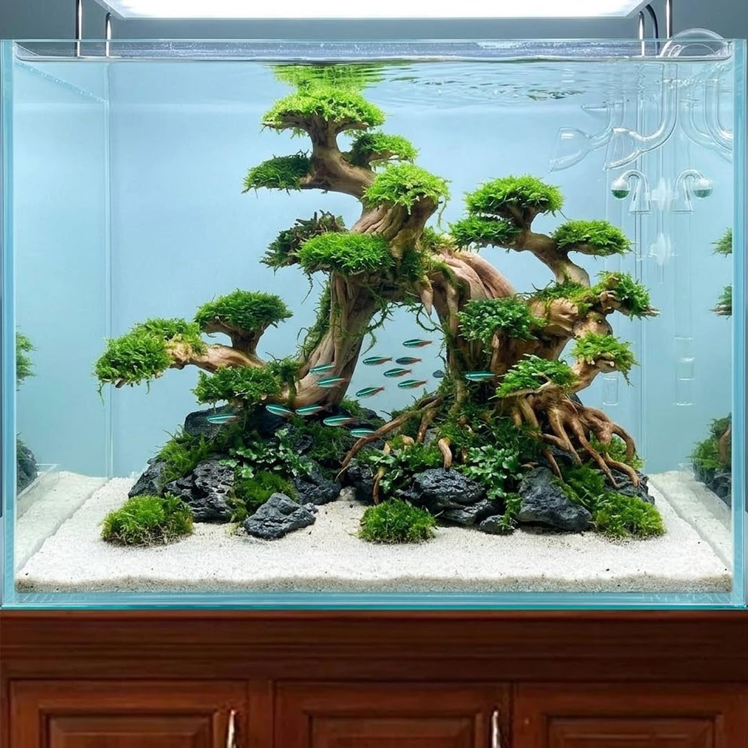 アクアテラリウム 水槽流木。水生植 物　水槽用流木　アクアリウム 盆栽流木 il_1080xN.8206768374_7p6n.jpg
