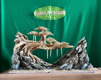 流木盆栽水槽アクアスケープ樹木植物盆栽樹木景観魚水槽装飾 - Etsy 日本