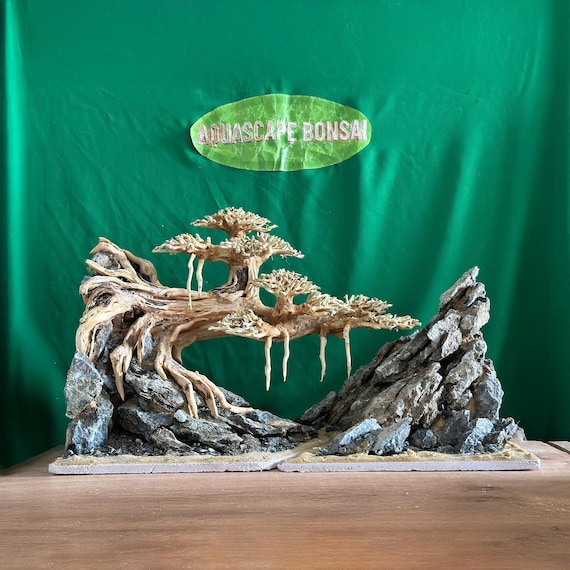 流木盆栽水槽水景樹木植物盆栽木風景水槽装飾 - Etsy 日本