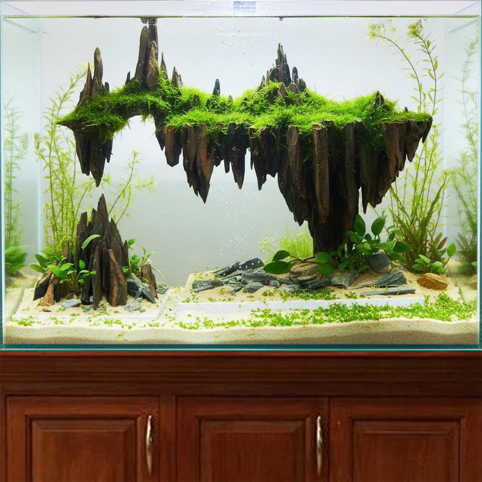 Floating islands driftwood aquarium - Etsy 日本