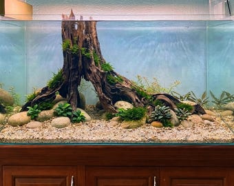 Grotta rocciosa per acquario, ceppo, legno galleggiante, buchi, paesaggio acquatico, nascondiglio per pesci betta, decorazioni per acquario