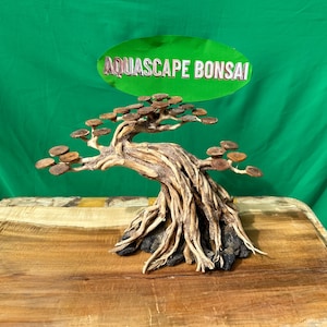 Bonsai driftwood aquarium aquascape hardscape decoration fish tank