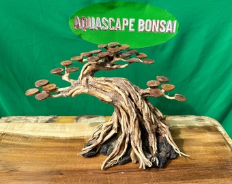 盆栽流木水槽樹水景ハードスケープ装飾水槽植物 - Etsy 日本