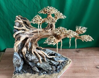 流木盆栽水槽水景樹木植物盆栽木風景水槽装飾 - Etsy 日本