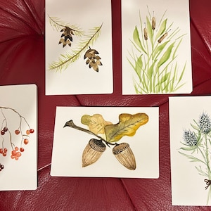 Aquarela pintada à mão para todos os cartões de ocasião com envelopes.