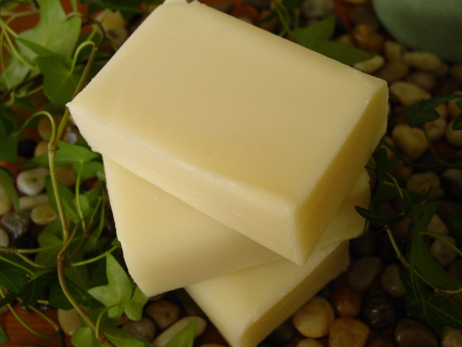 Moisturizing Shampoo and Body Bar Vegan Peppermint and Etsy