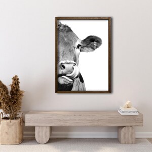 May include: A monochrome framed print featuring a close-up of a cow's face, with its tongue licking its nose. The cow is set against a white backdrop, framed in dark brown. The image is a portrait.