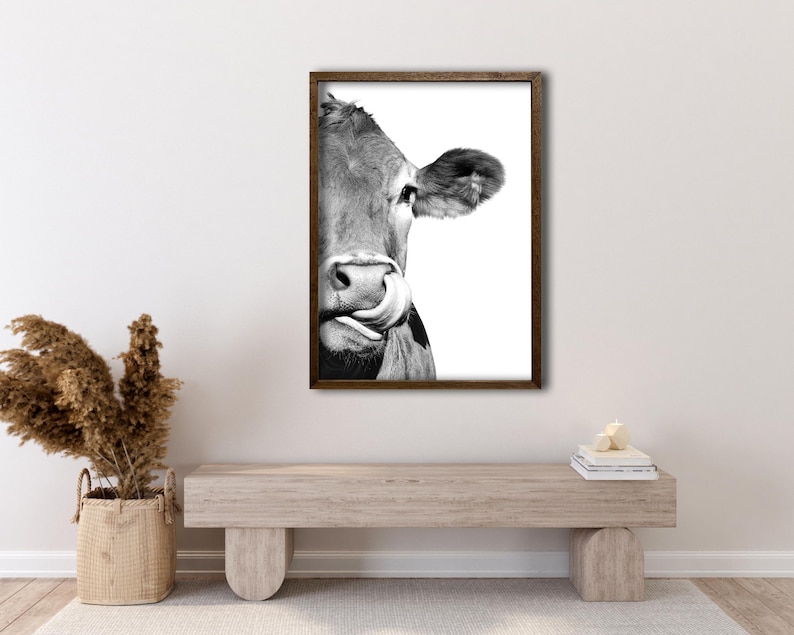 May include: A monochrome framed print featuring a close-up of a cow's face, with its tongue licking its nose. The cow is set against a white backdrop, framed in dark brown. The image is a portrait.