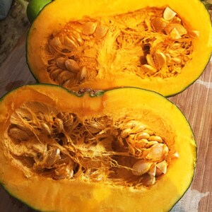 May include: Two halves of a yellow pumpkin with the seeds removed and visible. The pumpkin flesh is a bright orange color.