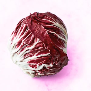 Heirloom RADICCHIO PALLA ROSA  Seeds - Chicory, Non-G.M.O. Firm Round Heads, Plant in Fall for Spring Harvest