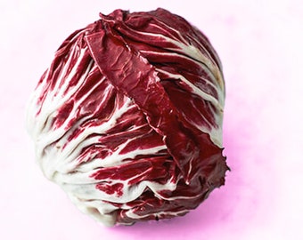 Heirloom RADICCHIO PALLA ROSA  Seeds - Chicory, Non-G.M.O. Firm Round Heads, Plant in Fall for Spring Harvest