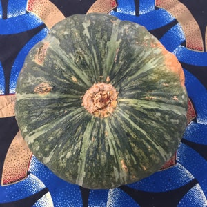 May include: A green and brown pumpkin with a slightly orange hue. The pumpkin has a distinctive pattern of green stripes radiating from the center.