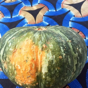 May include: A green, orange, and white striped squash with a slightly bumpy texture.