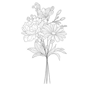 May include: A black and white line drawing of a bouquet of flowers. The bouquet includes a peony, a daisy, and a lily. The flowers are arranged in a loose, natural style.