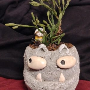 May include: A gray, monster-faced planter with a small succulent plant. The planter has large, oval eyes and small teeth. A small Minion figure is nestled among the plant's stems.