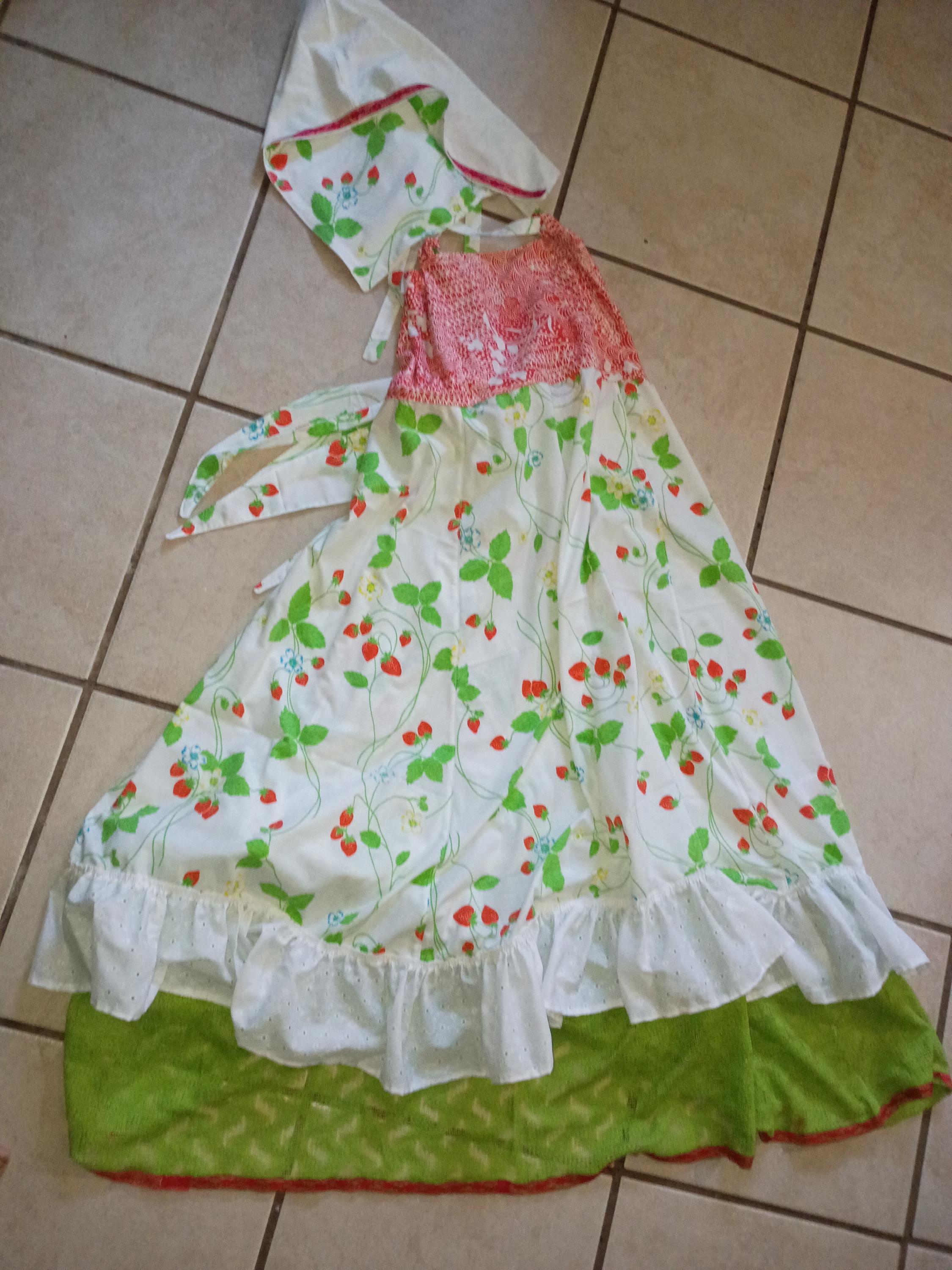 Strawberry Shortcake Garden Fairy dress