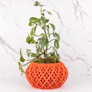 The &quot;Rokio&quot; Geometric Planter - Modern Indoor Planter with Unique Design for Home Decor