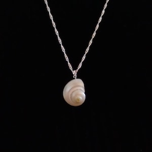May include: A silver necklace featuring a spiral seashell pendant. The pendant is a pale beige colour with a spiral design. The chain is a delicate, twisted silver. The background is a solid black.