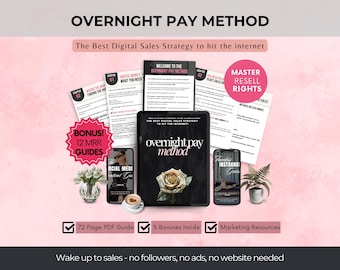 オーバーナイトペイ方式：マスター再販権、受動的収入（DFYデジタルガイド）