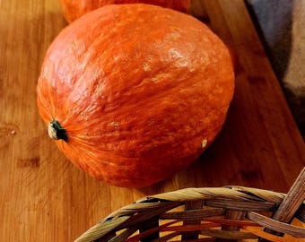 Red Kuri Squash Organic Seeds