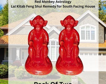 Red Monkey (laal Bandar) Feng Shui Remedy for South Facing House