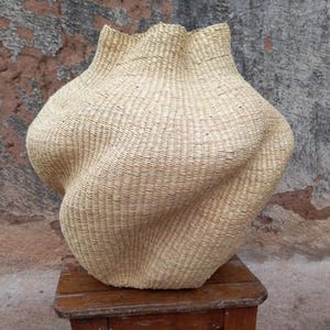 Può includere: Un cesto intrecciato con una forma unica, bulbosa e un bordo superiore increspato. Il cesto è realizzato con fibre naturali e poggia su una superficie di legno. Il design del cesto presenta un motivo intrecciato strutturato.