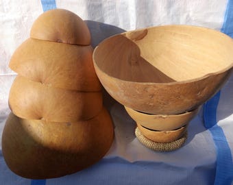Half calabash Gourd| Calabash for art| half gourd for decoration| Gourd for musical instrument