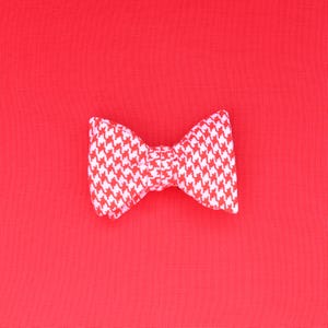 Könnte beinhalten: Eine rot-weiß karierte Fliege vor einem einfarbigen roten Hintergrund. Die Fliege ist mittig platziert und das Muster gut sichtbar. Der Stoff scheint Baumwolle oder ein ähnliches Material zu sein.