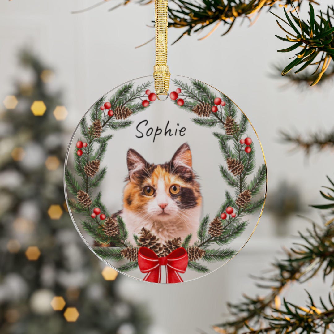 Custom Cat Ornament Personalized Dog Ornament Custom Pet Ornament ...
