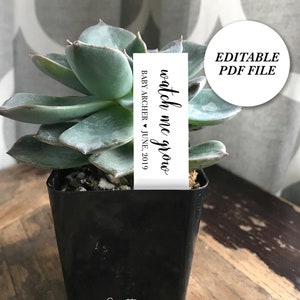 Baby Shower Succulent Favor Tags, EDITABLE favor tags, Plant Stake, Editable PDF, Succulent Favor Tag, Printable Baby Shower, Watch Me Grow,