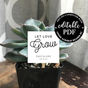 Let Love Grow Tags, Plant Tags for Wedding Favor, Printable Favor Tag, EDITABLE tag, Plant Stake, Bridal Shower Favor Tag, Bridal Shower Tag