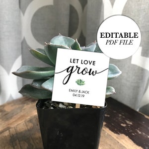 Let love grow favor tags, Succulent Tags for Wedding, Let Love Grow Tag Template, EDITABLE favor tags, Plant Stake, Bridal Shower Favor Tag