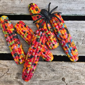 Fused/Cast Glass Calico Corn-Indian Corn - Fall-Autumn Decor