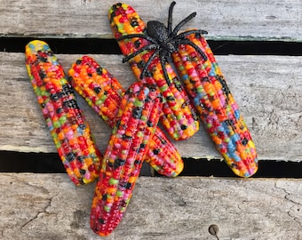 Fused/Cast Glass Calico Corn-Indian Corn - Fall-Autumn Decor