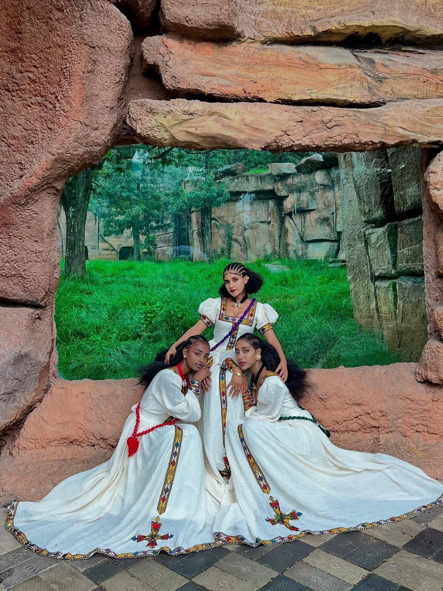 Nardi Ethiopian Habesha Dress | Traditional Tibeb Design Ethiopian ...