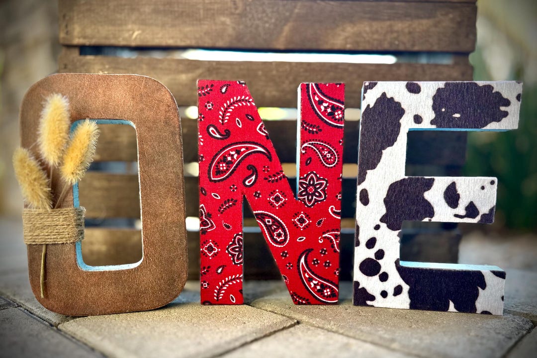 Cowboy ONE Letters Cowboy First Birthday First Rodeo ONE Sign Wild West ...