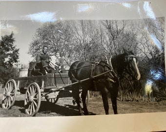 Vintage photo of horse drawn wagon w driver child and dog