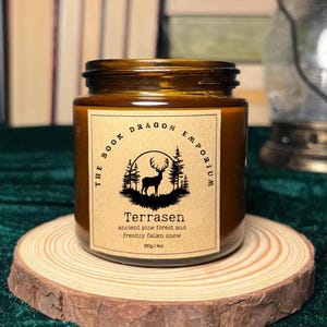 Terrasen Candle · Throne of Glass Candle · Ancient Pine & Snow · Sarah J Maas Gift · Fantasy Bookish Candle · Aelin TOG Scented Soy Candle