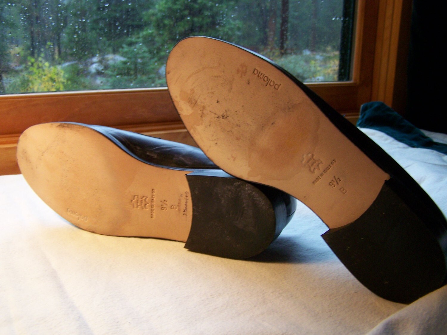 navy blue and white loafers
