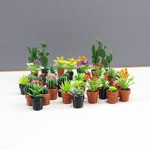 Vaso per piante in miniatura per casa delle bambole, pianta di cactus in miniatura, mini bonsai, mini pianta in vaso, mini fiore in vaso, mini decorazione per casa in miniatura, casa delle bambole