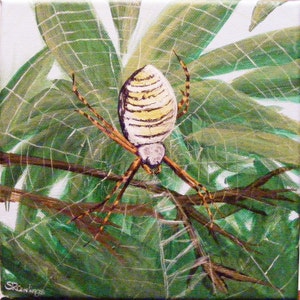 Orb Weaver Spider, original acrylic painting