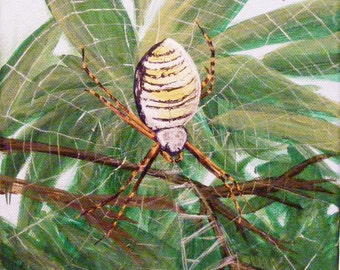 Orb Weaver Spider, original acrylic painting
